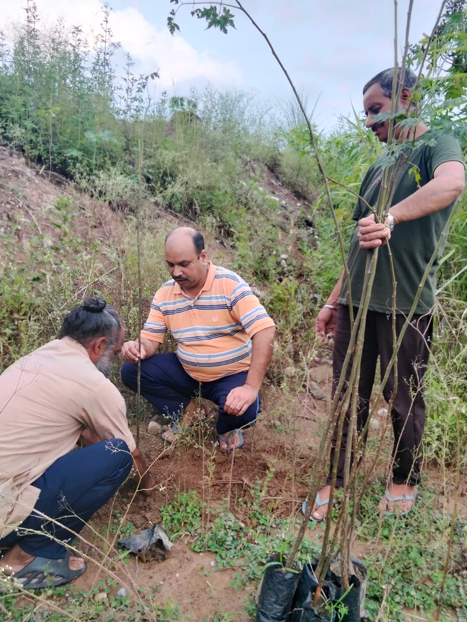 एक पौधा, आने वाली पीढ़ियों के नाम