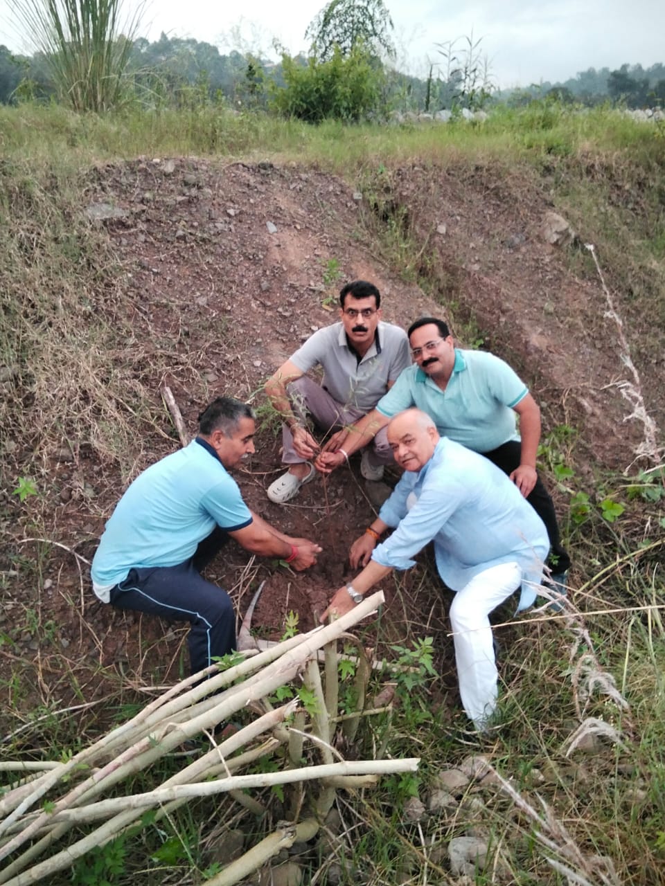 Plantation Drive