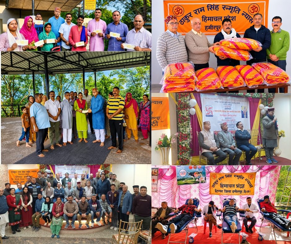 Trust programme and leadership interaction