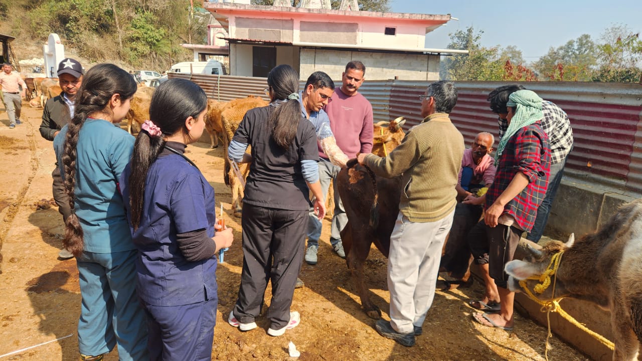 Veterinary Outreach
